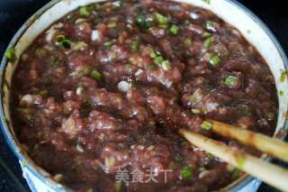 Ostrich Meat Dumplings Stuffed with Dandelions recipe