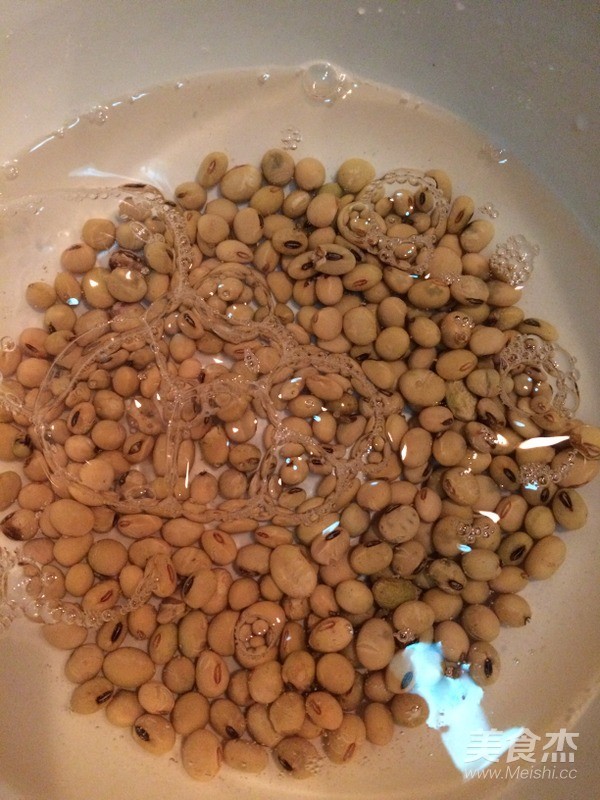 Soy Bean Big Bone Soup recipe