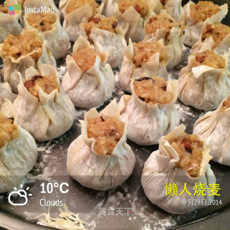 Lazy Siu Mai-detailed Steps recipe