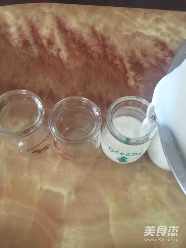 Milk Warmer to Make Yogurt recipe