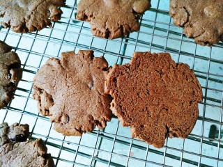 Cranberry Chocolate Shortbread Cookies recipe
