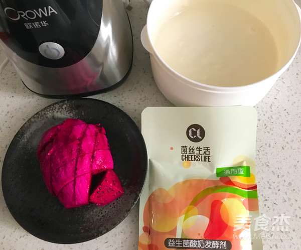 Yogurt Dragon Fruit Milkshake recipe