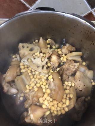 Braised Lotus Root with Pig's Trotters and Soybeans recipe