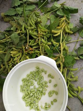 Stir-fried Green Beans recipe