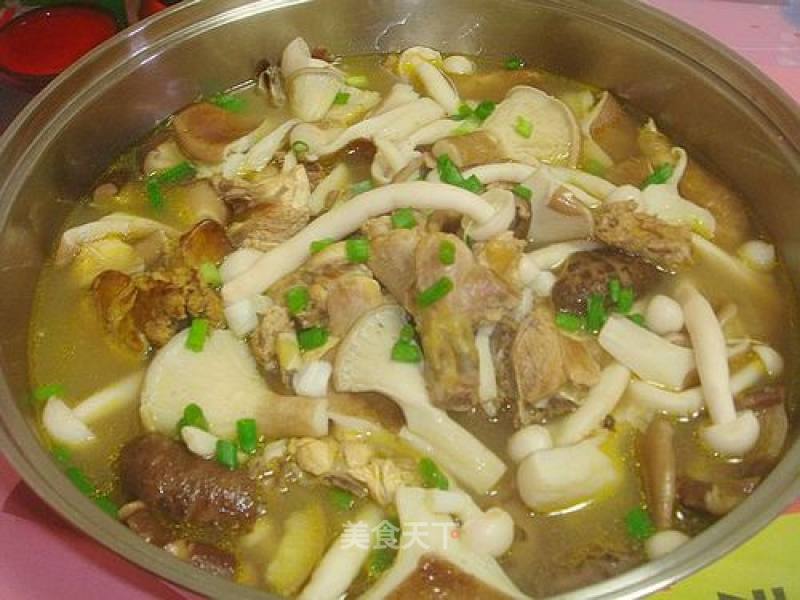 Stewed Chicken Soup with Fresh Mushrooms