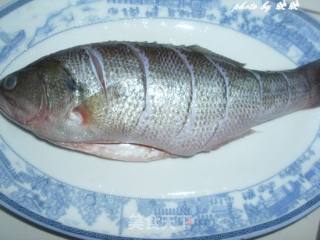 Steamed Sea Bass with Mustard recipe