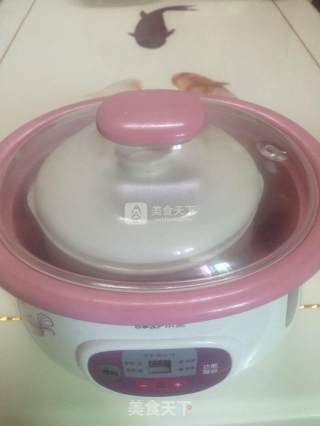 Chuanbei Rock Sugar Lemon Balm recipe