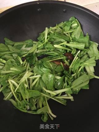 Stir-fried Vegetable Seedlings recipe