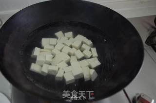 Mapo Tofu-home Edition recipe