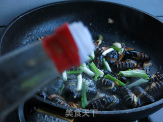 Fried Cocoon Pupae with Chives recipe