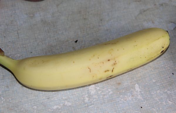 Banana Purple Potato Boat recipe