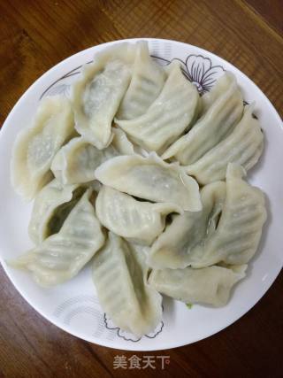 Broccoli Beef Dumplings recipe