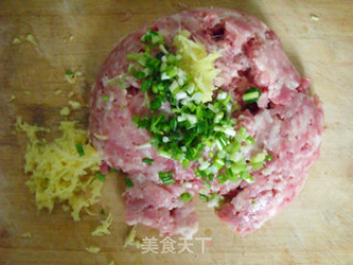 Meat Ball with Soy Sauce recipe