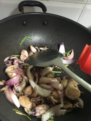 Cumin Fresh Squid recipe