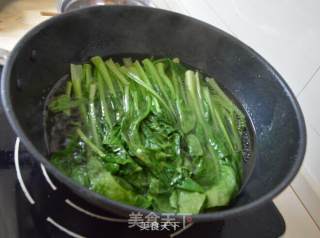 Boiled Cantonese Choy Sum recipe