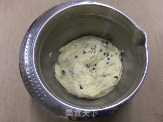 Coconut Honey Bean Muffin-aca E43a Trial Report (3) recipe