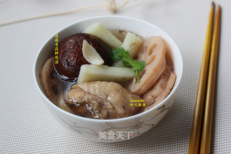 Lotus Root and Mushroom Chicken Soup recipe