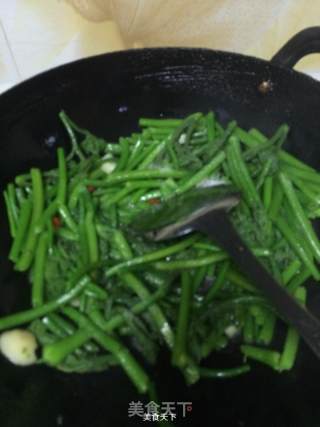 Stir-fried Pumpkin Seedlings recipe