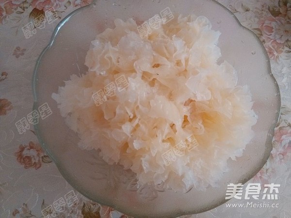 Papaya Snow Ear Soup recipe