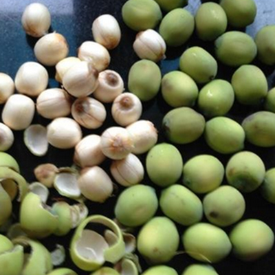 Fresh Lotus Seeds, White Fungus and Mung Bean Porridge recipe