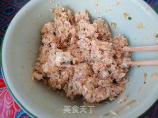 Fresh Meat Cabbage Buns recipe