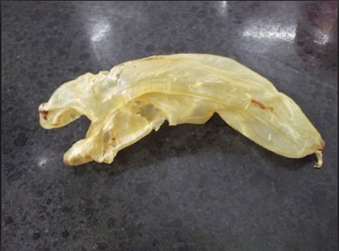 Flower Maw Cordyceps Flower Shark Fin Soup recipe