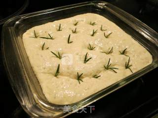 #新良第一节烤大赛#佛卡恰focaccia recipe