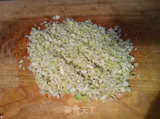 Vegetable Dumplings with Leek, Cabbage and Egg recipe