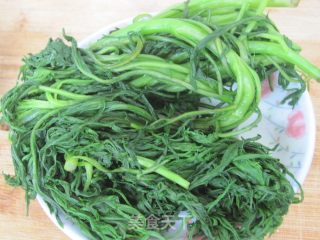 Willow Artemisia Sprouts---northeast Dipping Pickles recipe