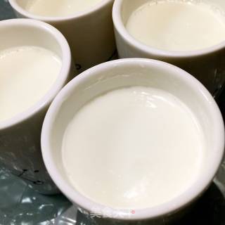 Homemade Yogurt recipe