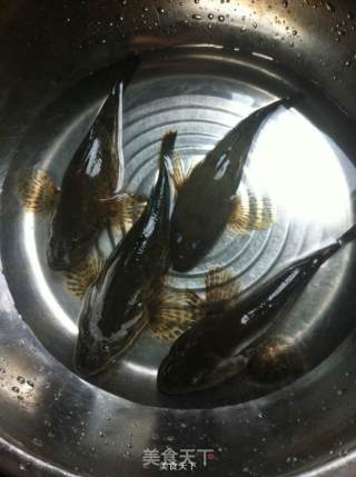 Pond Carp Stewed Eggs recipe