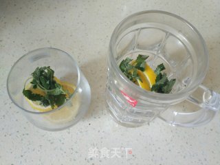 Lemon Mint Drink recipe