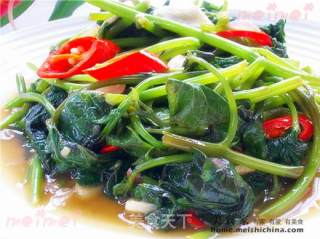 Home Cooking @@长寿菜~~ Stir-fried Sweet Potato Leaves recipe