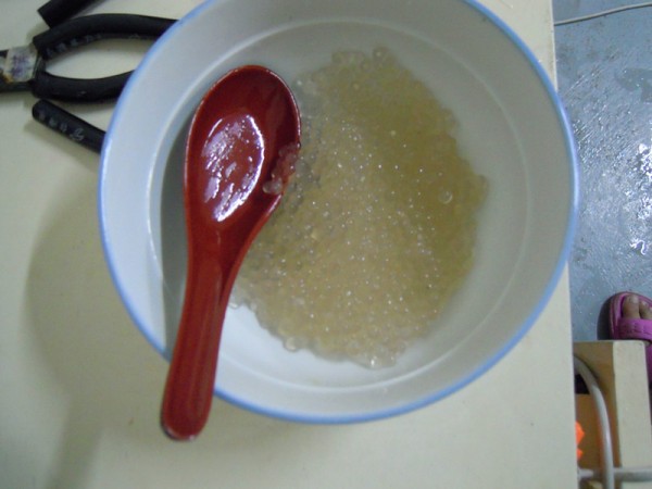 Sago Tortilla Paste recipe