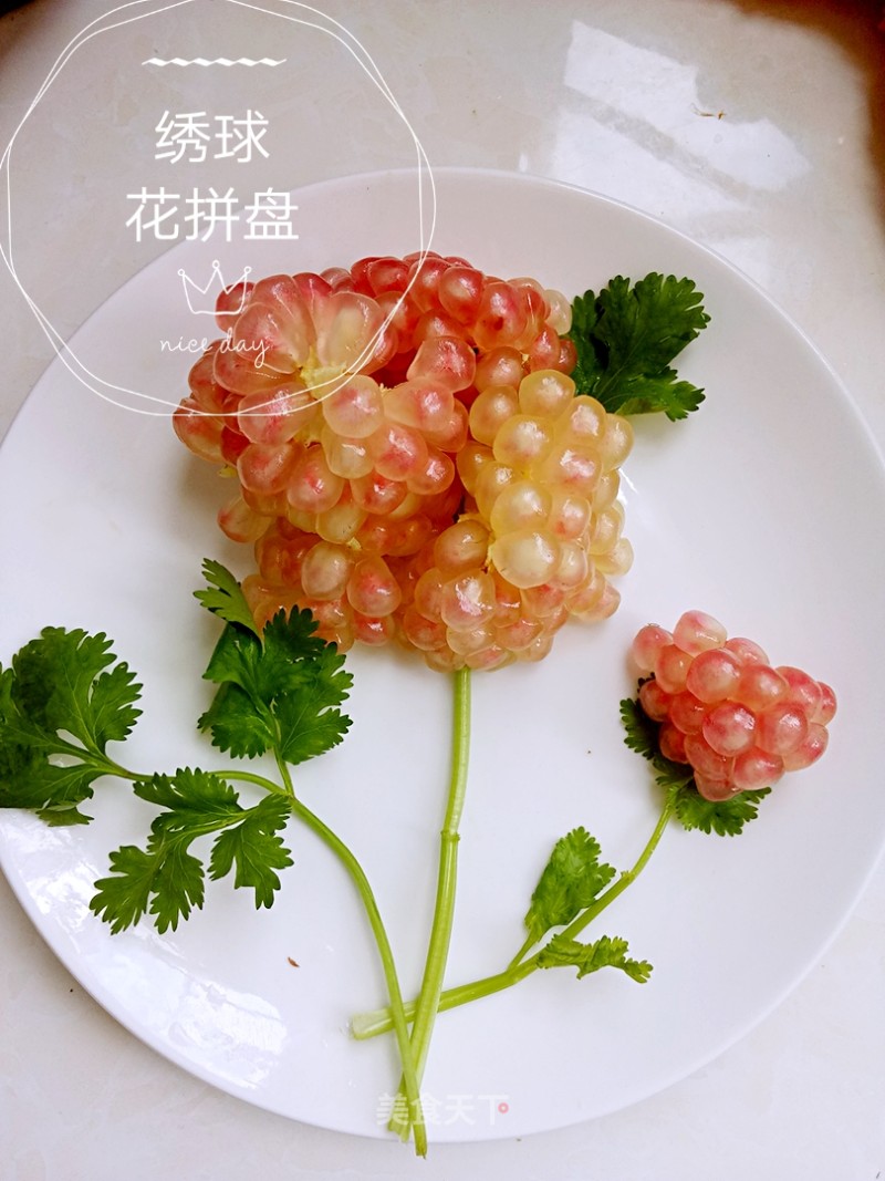 Assorted Hydrangea recipe