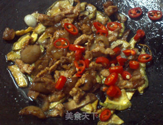 Stir-fried Pork with Pumpkin recipe