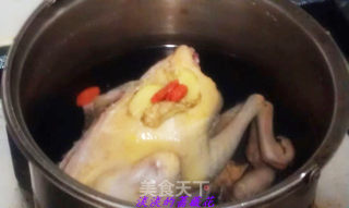 Diy---stewed Pigeon Soup recipe