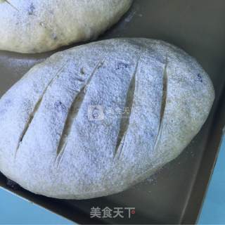 Whole Wheat Bread recipe