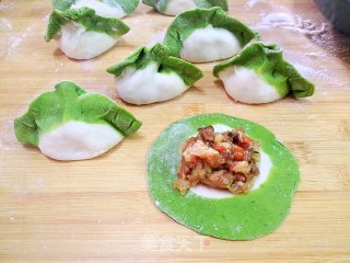 #trust之美#jade Chinese Cabbage Meat Dumplings recipe