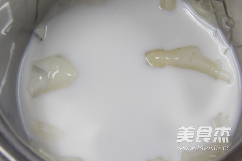 Papaya Milk Jelly recipe