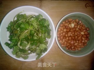 Peanuts with Coriander and Old Vinegar recipe