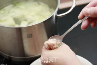 Yuanma's Private House-winter Melon Meatball Soup recipe