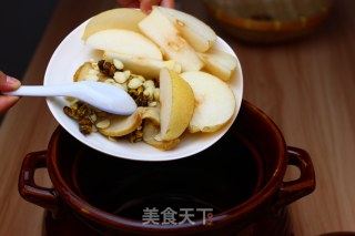 Guangdong Yifei Syrup-chuanbei Dendrobium Sydney Syrup recipe