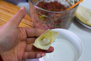 Beef Wonton recipe