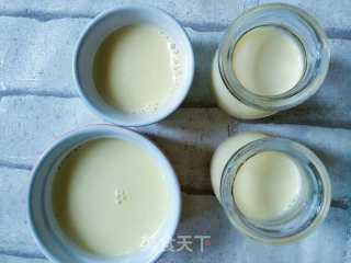 Easy to Learn Egg Pudding, Adults and Children Like It recipe