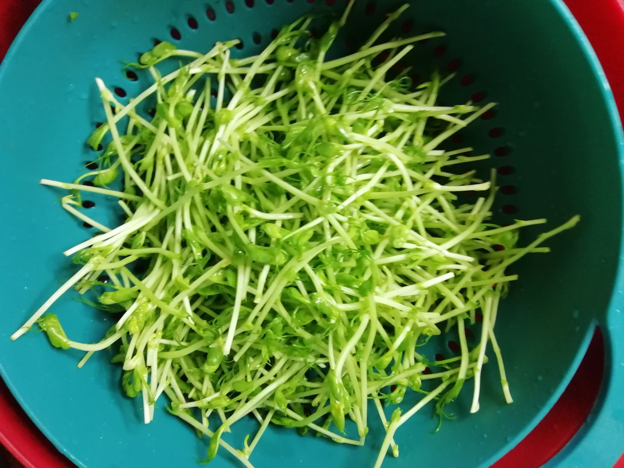 Pea Sprouts Mixed with Egg Shreds recipe