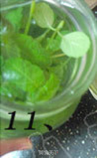 Ice Mint Honey Tea recipe