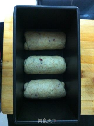 Visible Whole Wheat Toast recipe