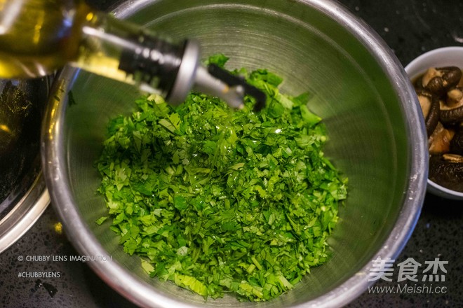 Cilantro, Mushroom and Chicken Breast Dumplings recipe