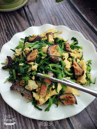 Noodle Dish Sea Cucumber Scrambled Eggs recipe